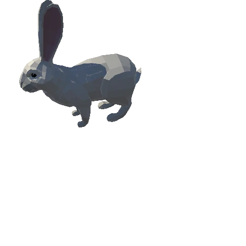 Rabbit PA White